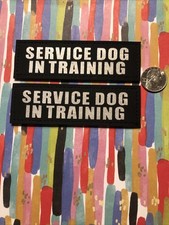 Service Dog In Training Patch Reflective Tag for Dog Harness Service Animal