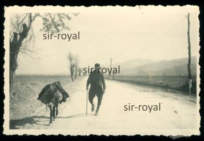Griechenland um 1942 - Mann mit Esel auf Landstraße - 1940er - WK2 Foto 9x6cm