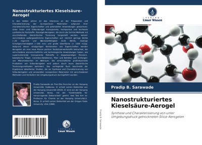 Pradip B. Sarawade | Nanostrukturiertes Kieselsäure-Aerogel | Taschenbuch (2021)