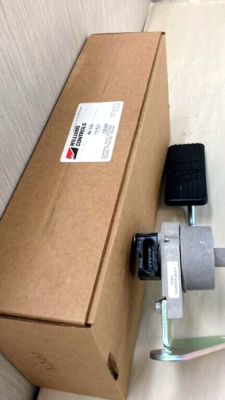 Moi☆.。.:*・° Williams Control Throttle Pedal 131507 - Northwest RV Supply