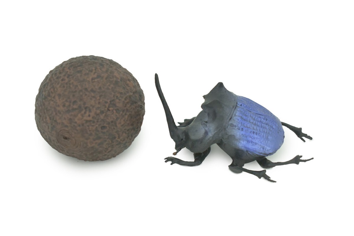 Dung Beetle Toy, Poop Ball, 2 Piece Model Realistic Figure, Gift 5