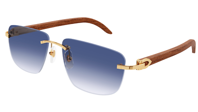 H46美品✨Cartier カルティエ　サングラス　ヴィンテージ　53□18 CARTIER C DÉCOR WOOD BLUE SUNGLASSES CT0046S-001. GENUINE | eBay