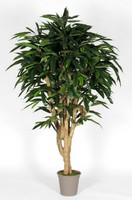 Artplants Kunst Longifolia Rafiko, NaturstäMme, GrüN, 250Cm