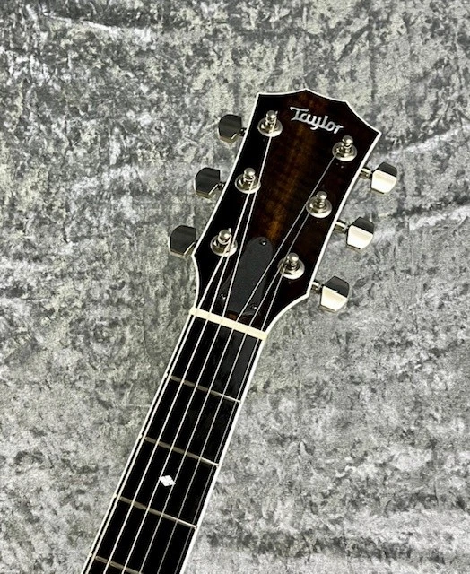 Taylor T-5 Standard 'TB (2015) (no251107) - Image 3 of 4