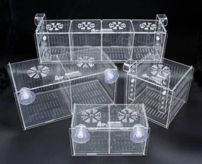 Aquarium Overload Clear Acclimation Breeder Mushroom Quarantine Box Free US Ship