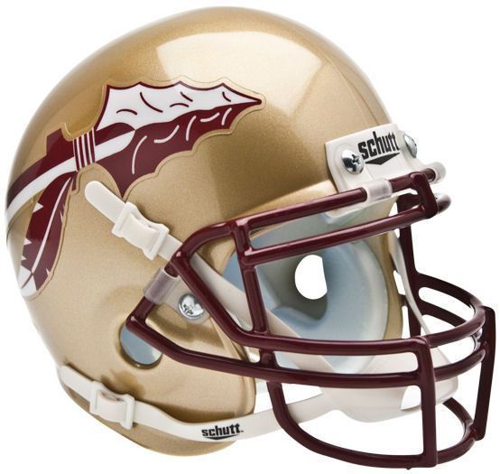 FLORIDA STATE SEMINOLES FSU NCAA Schutt XP Authentic MINI Football