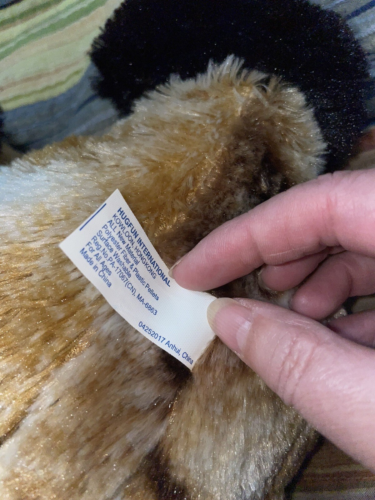 Picture 5 of 7