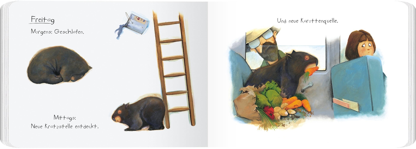 Thumbnail - Tagebuch Eines Wombat | Pappbilderbuch | Jackie French | Buch | 28 S.