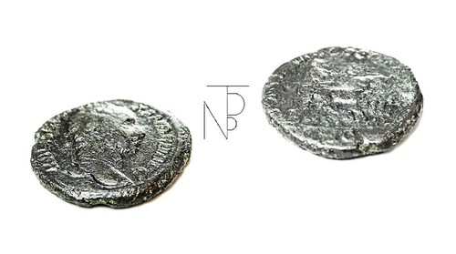 Roman Empire (Alessandro SEVERO) Asse-RRR. - Foto 5 di 10