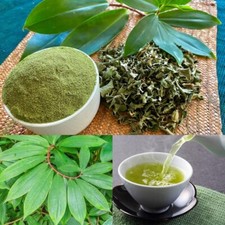 Ceylon Organic Insulin Plant Dried Leaves Powder Costus Igneus Canereed Powder