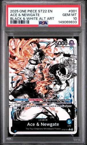 Ace & Newgate (Parallel)