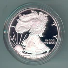 2005-W U.S. SILVER AMERICAN EAGLE - KM#273 - ORIG. MINT BOX, CASE & COA - PROOF
