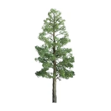 94290 Professional Tree, Pine 1.5" (6)