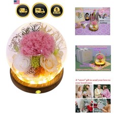 Real Preserved Flowers Gift Pink Carnation Roses Floral Arrangement Decor