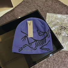 Arc'teryx Bird Head Toque Wool Beanie Lavender Purple Winter Ski Hiking Hat NWT