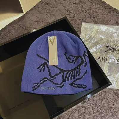 Arc'teryx Bird Head Toque Wool Beanie Lavender Purple Winter Ski