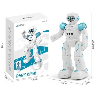 RC Robot Toys for Kids, Gesture & Sensing Programmable Remote Control Robot