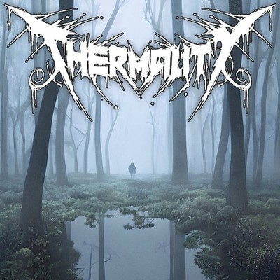 Thermality Before I Get to Rest (CD) Album