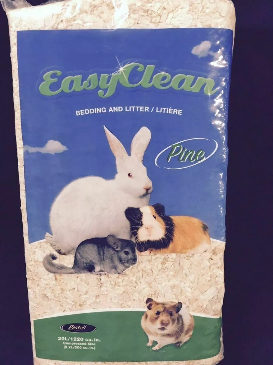 Guinea pig pine bedding 2025