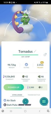 Pokemon Go Legendärer Tornadus ( XXS) (Normal)