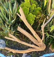Large Driftwood Manzanita Aquascape Terariam Avery Snakes Fish 22" 22" 14"