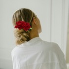 Bild 5 von 12