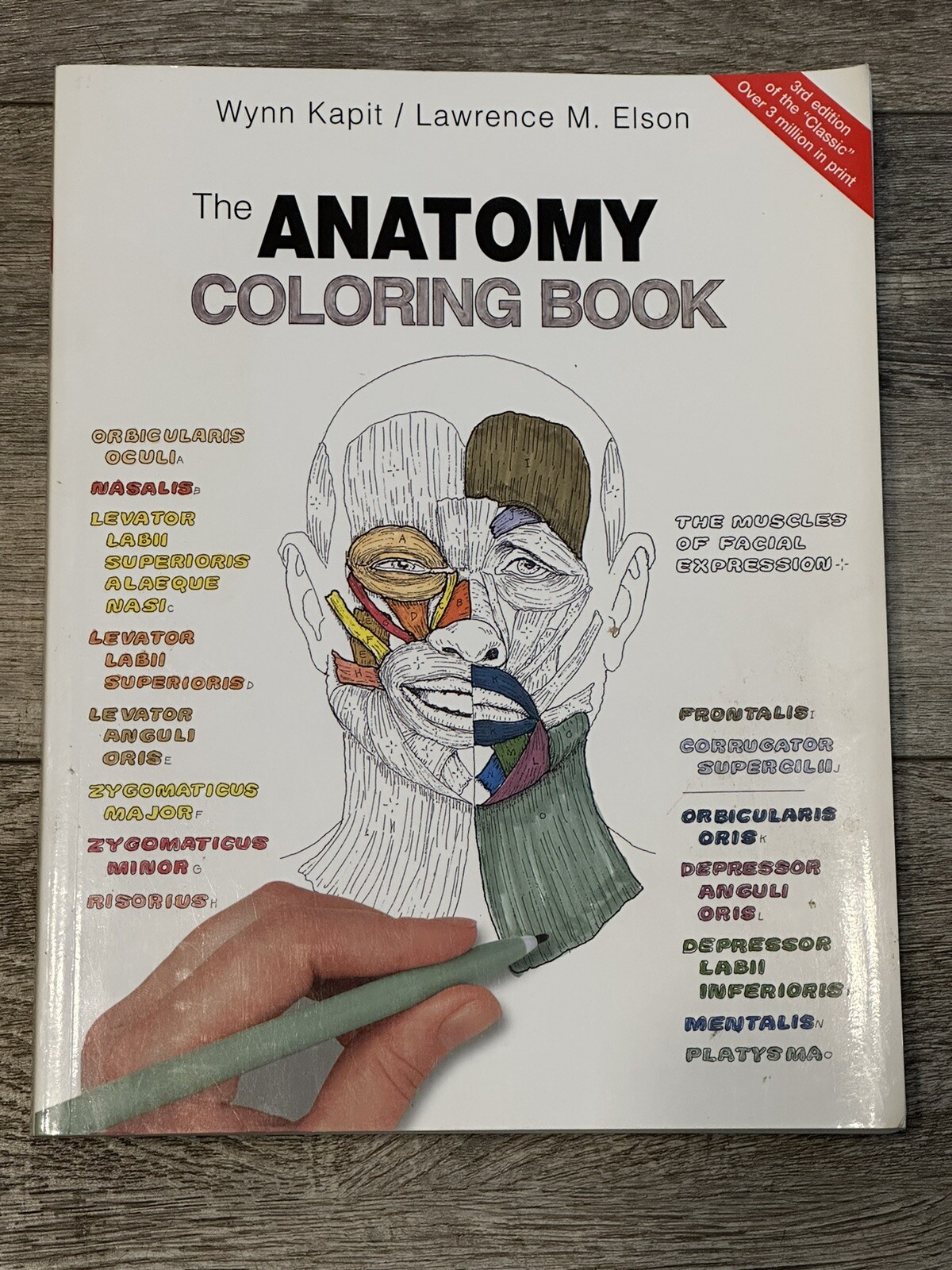 The Anatomy Coloring Book by Lawrence M. Elson and Wynn Kapit ...