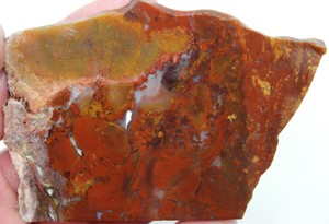 RARE-Old-Stock-Carey-Plume-Agate-Slab-Lapidary-Stone-Slab-Estate-Collection