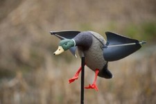 LOCKENTE MIT WINDDREHENDEN FLUGELN LOCKJAGD ENTENJAGD
