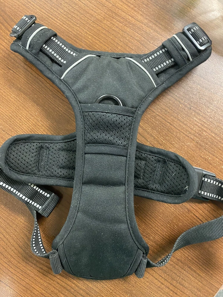 Dog Harness Rabbit Go Large!  New!!!/ Black Dogs Up To 75 Lbs