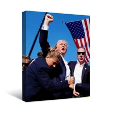 Donald Trump Assassination Attempt Keep Fighting Picture 2024 on Canvas Prints