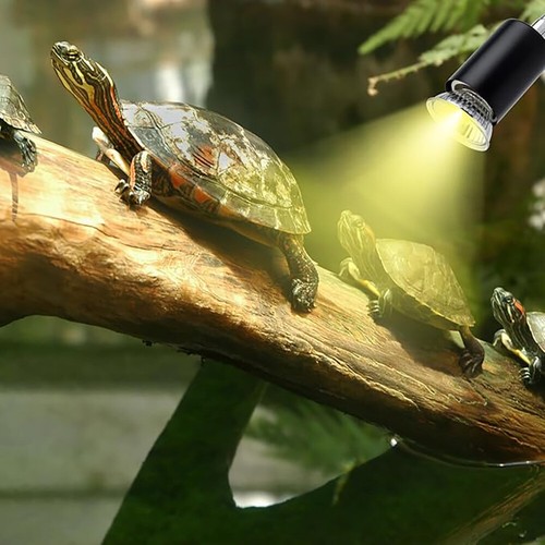 Reptile Heat Lamp Turtle Lizard 2 Bulb Adjustable Basking Heating Lamp with Clip - Picture 12 of 13