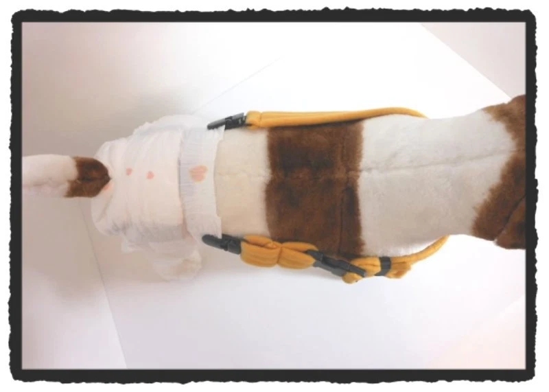  Pañal para perro HAPPY JACK macho y hembra banda envolvente correa SUSPENSOR Foto 2 de 4