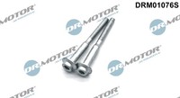 Dr.Motor Automotive DRM01076S Schraube, EinspritzdüSenhalter For Audi Seat Skoda