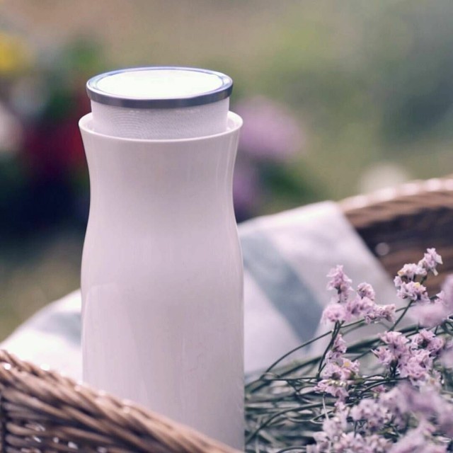 flow wireless speaker