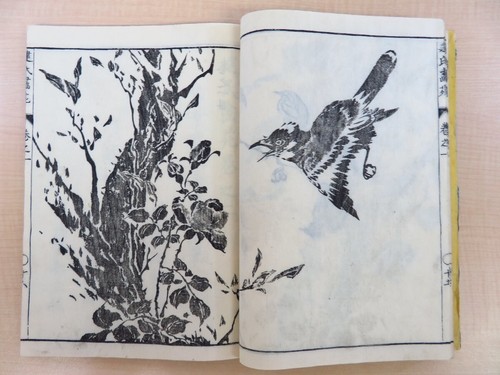 Takebe Ayashi "Kenji Gaen" (2 volumes in total) An'ei 4 years Gosharoita Woodcut - Picture 4 of 10