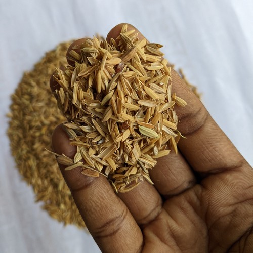 Organic Rice Husks - Premium 100% Natural Rice Hulls Hydroponic Growing Medium - Picture 11 of 12