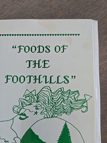 1993 / 94 Firebelle's Foods Of The Foothills Cookbook Book Softcover - Foto 2 di 7