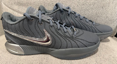Size 10 - Nike LeBron 21 Resilience Cool Gray Metallic Silver HF5353-001