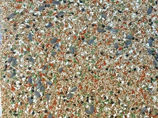 Cockatiel plus - food seed for Cockatiel, Conures & small Parrots ( 2 lbs )