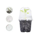 Set of 10 Clear Plastic Plant Pots with Humidity Dome for Plant Growing