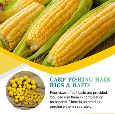 CWSDXM Carp Fishing Hair Rigs Baits Carp Rigs Kit Fishing Equipment Accessori...