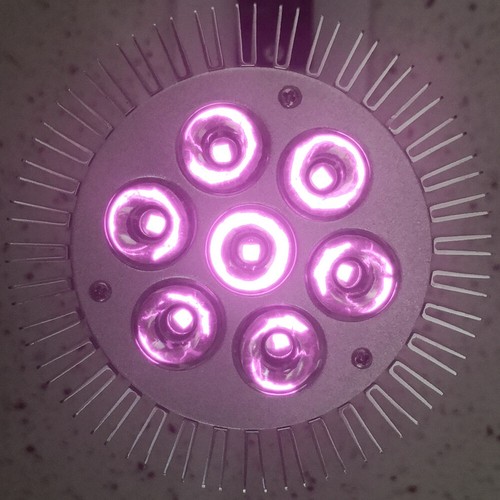 21W Infrared 830nm IR PAR30 LED Lamp Spot Light Bulb Plant night vision E26 E27 - Picture 6 of 6