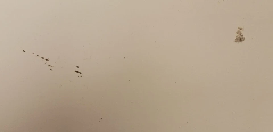 Used OEM GM White Rear Liftgate Spoiler/Wing 2013-2019 Buick Encore (LI60) - Изображение 4 из 4