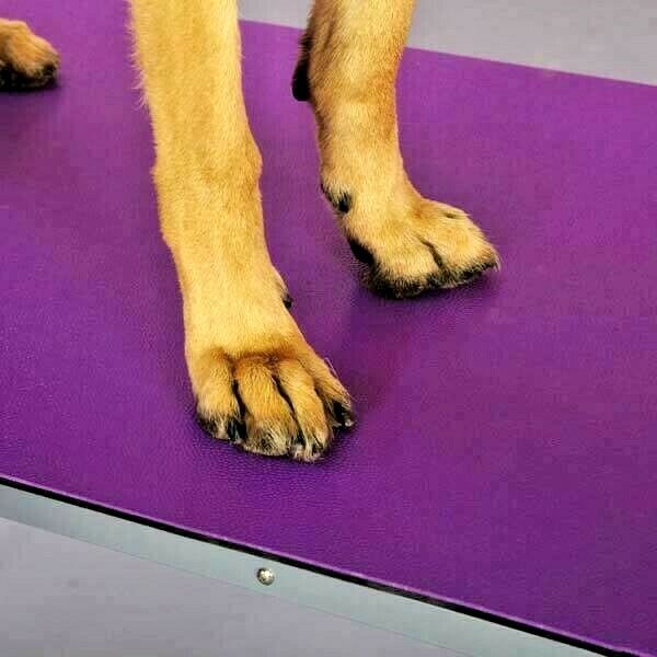paw mat for grooming table