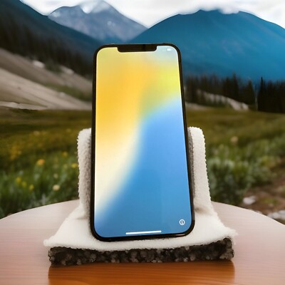 iPhone 12 Pro Max