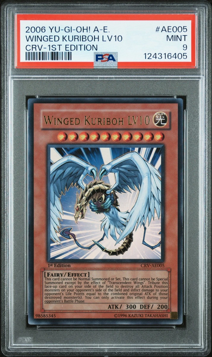 Winged Kuriboh Yu-Gi-Oh! TCG Professional Sports Authenticator