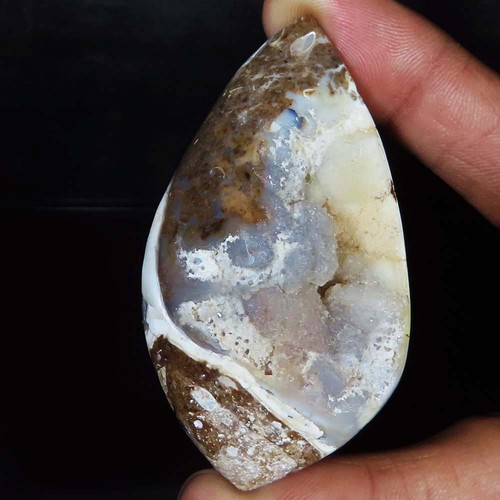 (35X65X21 mm) 257,40 Karat. NATÜRLICHE FOSSILE SCHNECKE DRUZY CABOCHON LOSE EDELSTEIN
