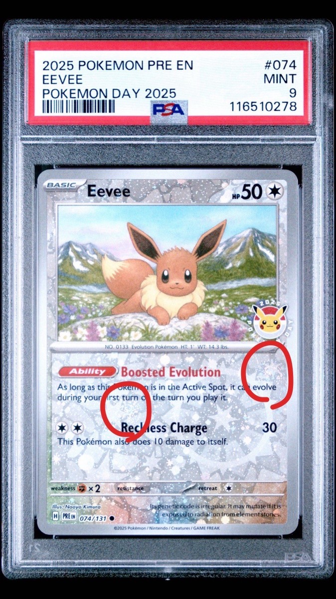 eevee 2025 pokemon day card Flying-Tera Type Pokmon PSA 9 - Eevee 074/131