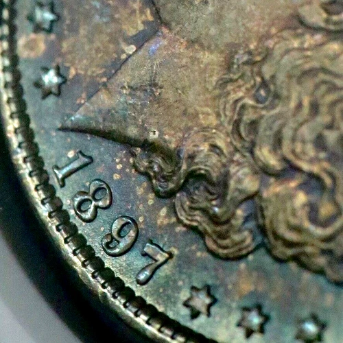 1897-P Morgan Silver One $1 Dollar - NGC MS 64 - Nice Colorful Toning!  CC557